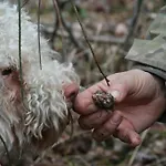 Farmház Le Ceregne Bio Pieve Santo Stefano