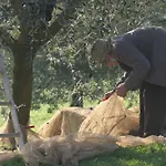 Farmház Le Ceregne Bio Pieve Santo Stefano
