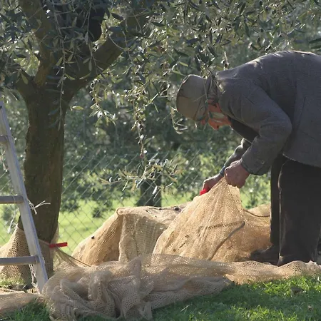 Farm stay Le Ceregne Bio Pieve Santo Stefano